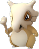 Cubone