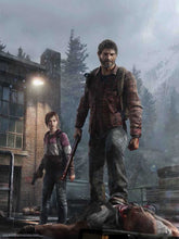 Load image into Gallery viewer, The Last of Us